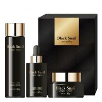 Secret Key Black snail original set Набор для лица с муцином черной улитки